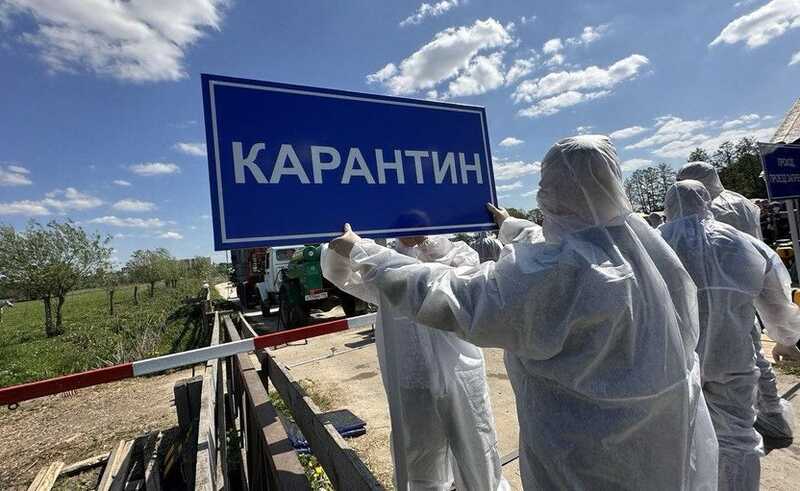 В нескольких районах Москвы объявлен карантин из-за птичьего гриппа