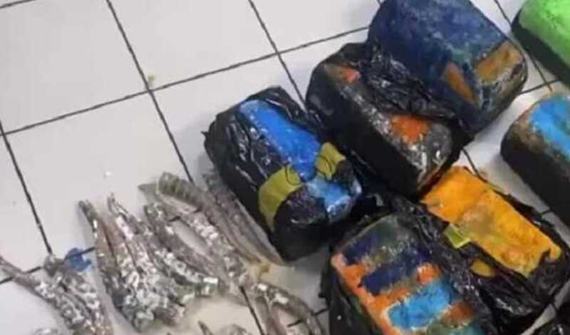 Вьетнамец пытался вывезти из России больше 200 рогов краснокнижного сайгака