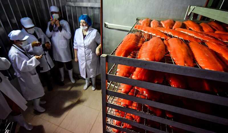 Ловись рыба большая и...