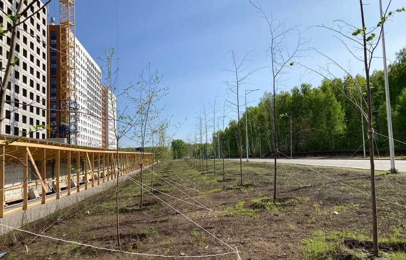 Подчиненные «подставили» Текслера с челябинской экологией. Город подарил миллионы на озеленение
