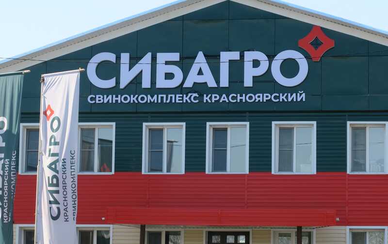 Свинское решение «Сибагро» в отношении томской «карандашки»