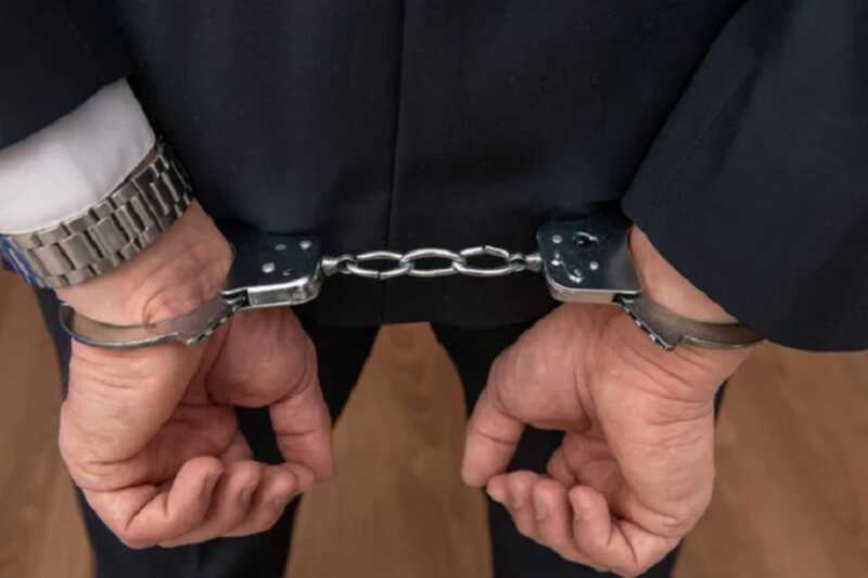 Грузинского миллиардера арестовали в Петербурге за мошенничество