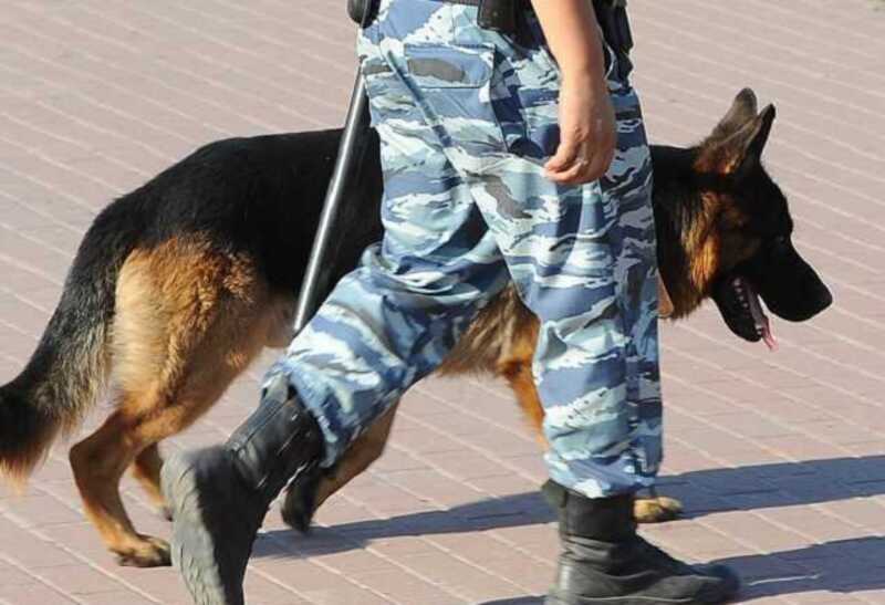 В Екатеринбурге нашли мëртвым пропавшего шестилетнего мальчика Далера Бобиева