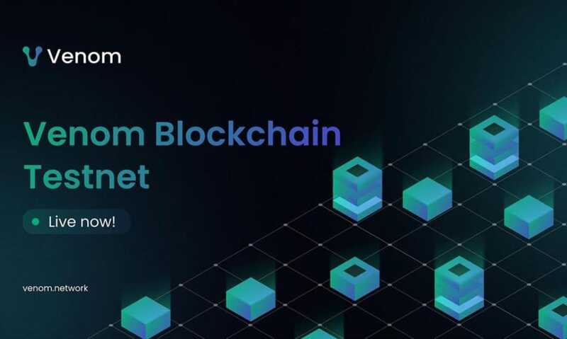 Venom Foundation – инновационная мультиблокчейн-сеть или очередная грандиозная афера криптомира?