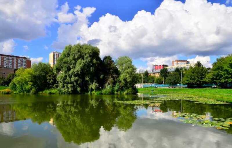 В Москве мужчина утонул в пруде, спасаясь от жары