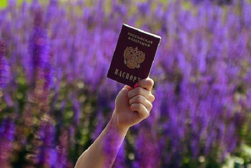 Сенаторы отозвали подписи по проекту о лишении гражданства России по рождению