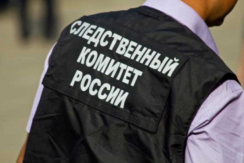 В Новосибирской области возобновили дело 13-летней давности об исчезновении девочки