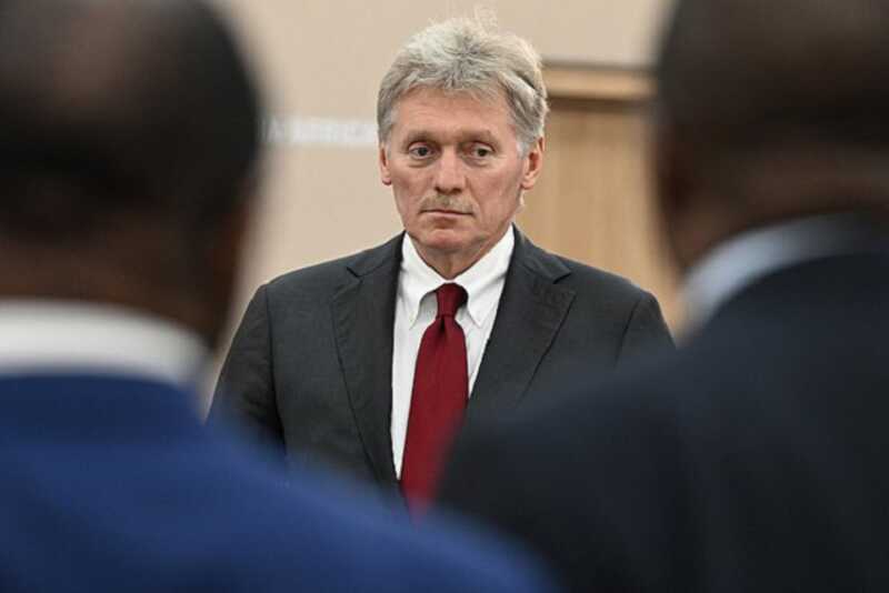 Песков раскритиковал «птичий язык» чиновников