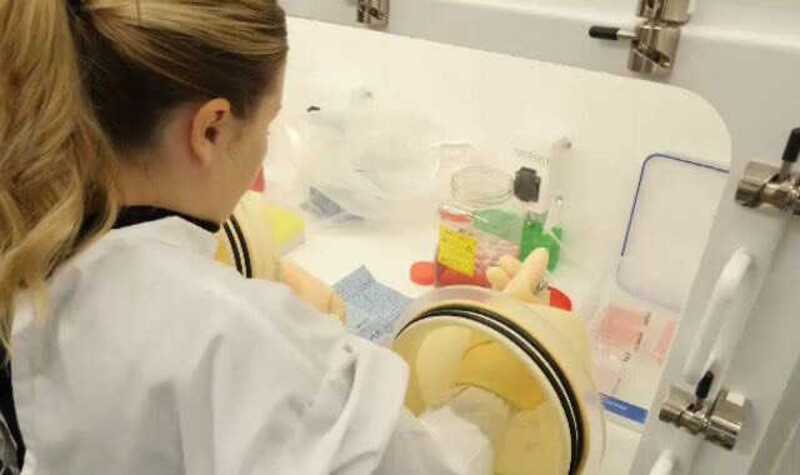Британские ученые начали разработку вакцины на случай новой пандемии, вызванной Болезнью Х