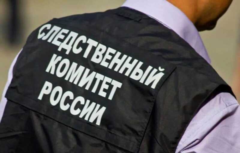 Россиянин показал трем маленьким девочкам интимное видео и попал под следствие