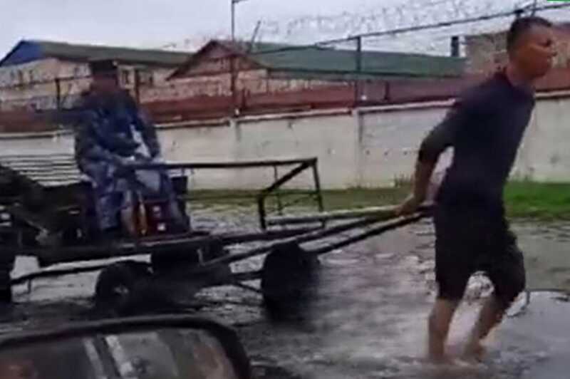 ФСИН начала проверку после видео с запряженным в телегу заключенным