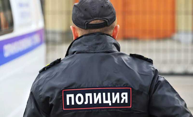 В Ленинградской области в лесу нашли тайник с 11,5 кг гашиша