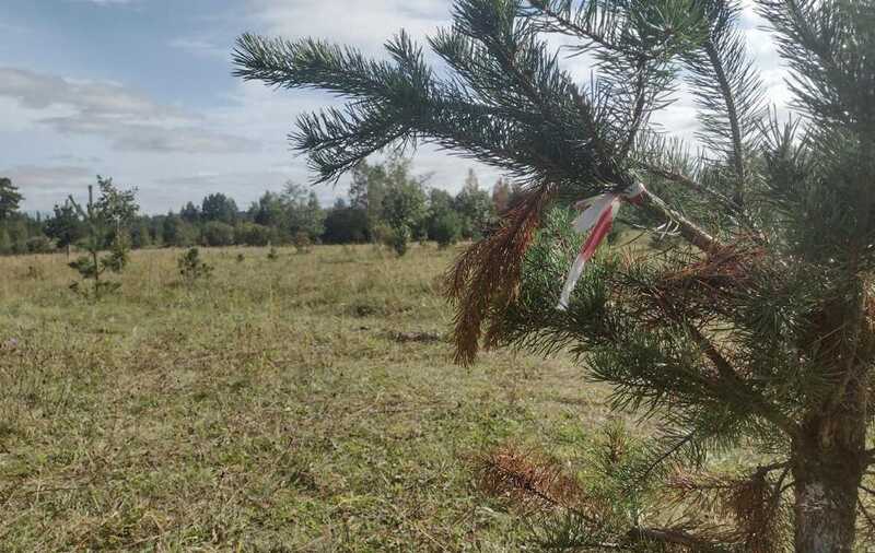 Засняли место крушения самолета Пригожина под поселком Куженкино в Тверской области