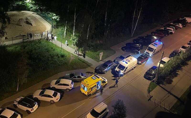 В Новой Москве жительницы подрались на детской площадке из-за собаки без намордника