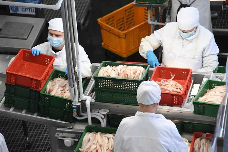 Сбербанку не дают порыбачить на Камчатке - завод «Сокра» рвется из сетей