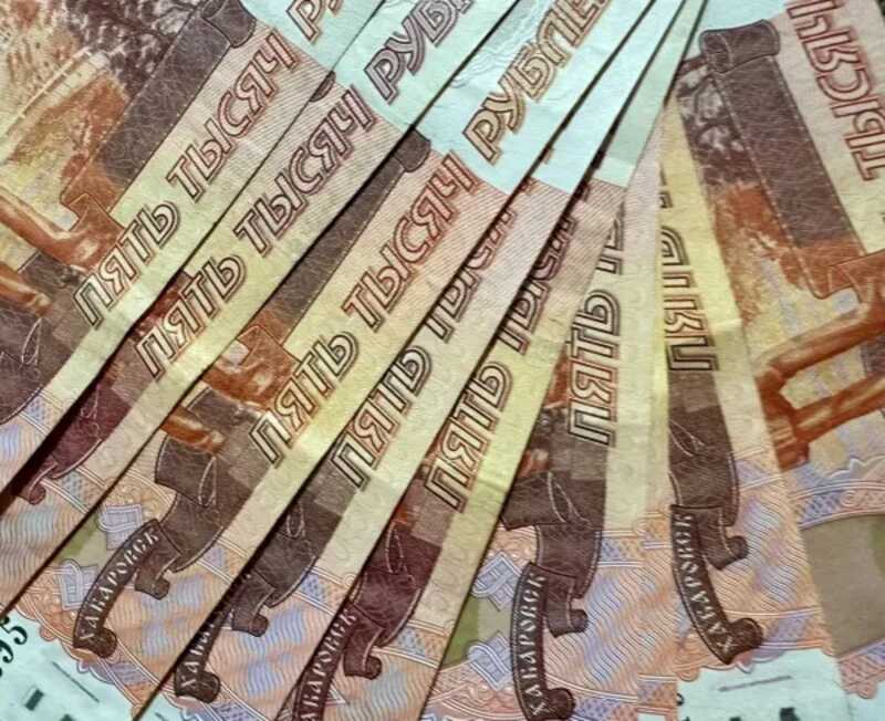 Злоумышленники выманили у профессора красноярского медуниверситета 8,7 млн рублей