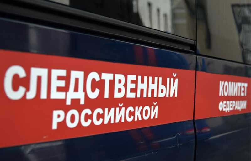 В СКР заявили, что поевшая арбуз москвичка умерла не от отравления