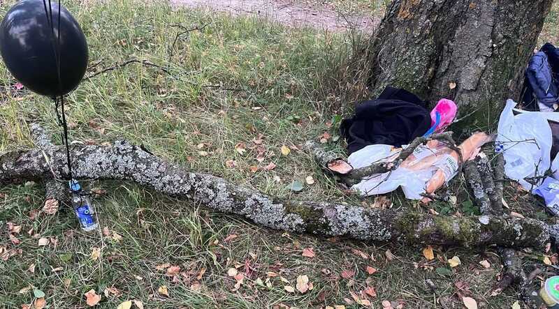 Огромная ветка упала на спину беременной петербурженке во время гендер-пати