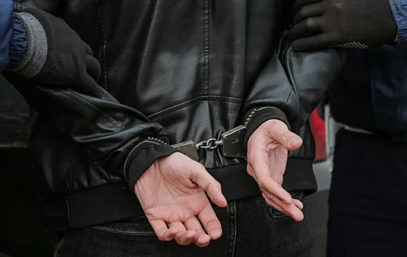Полиция задержала Нормунда Жигурса