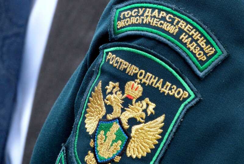Росприроднадзор получил 37 миллионов с актива мэрии Асбеста за вред природе