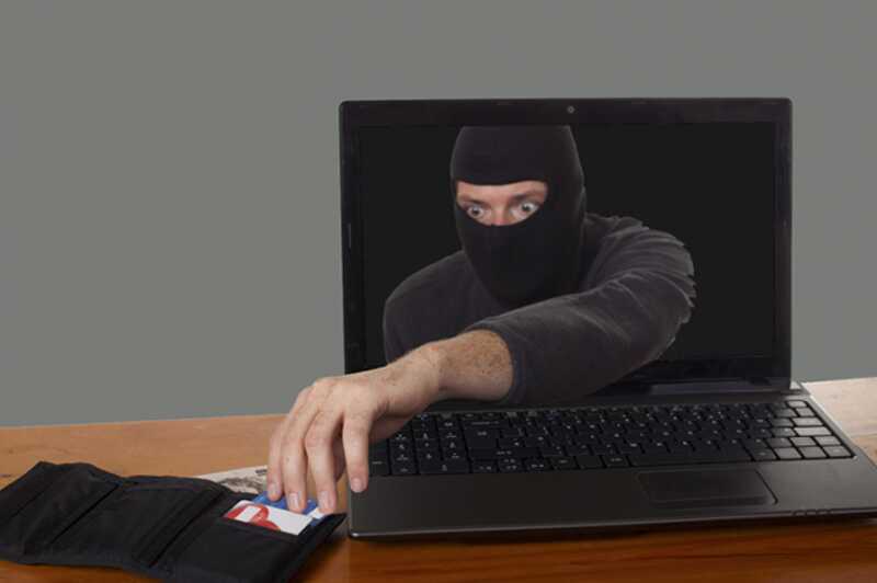 Жительницу Мурманской области обманули интернет-мошенники