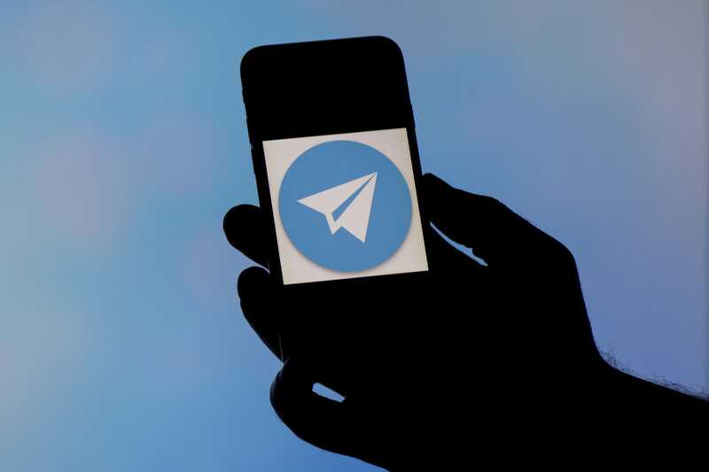Администратора Telegram-канала «Рынок шкур» осудят за мошенничество
