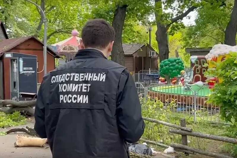 В Москве возбудили уголовное дело после падения дерева на женщину