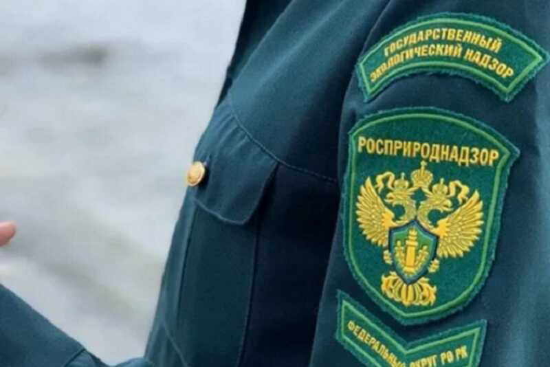 Мэрию Тобольска обвинили в уничтожении земель