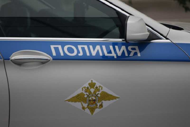 Россиянин выкинул с балкона собаку сестры за отказ дать денег на алкоголь