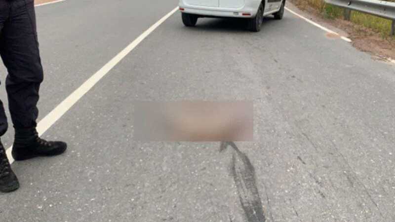 В Ленинградской области нашли расчлененного мужчину