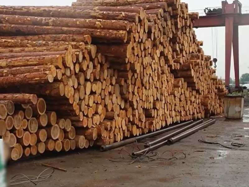 Трёх жителей Иркутской области осудят за контрабанду леса на 423 миллиона