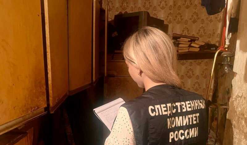 Зарезал сожительницу, мать и соседа. Балашовский убийца получил пожизненный срок