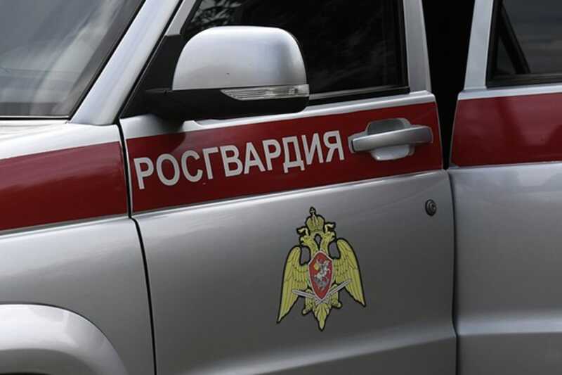 Посетительница ресторана побила администратора и росгвардейца