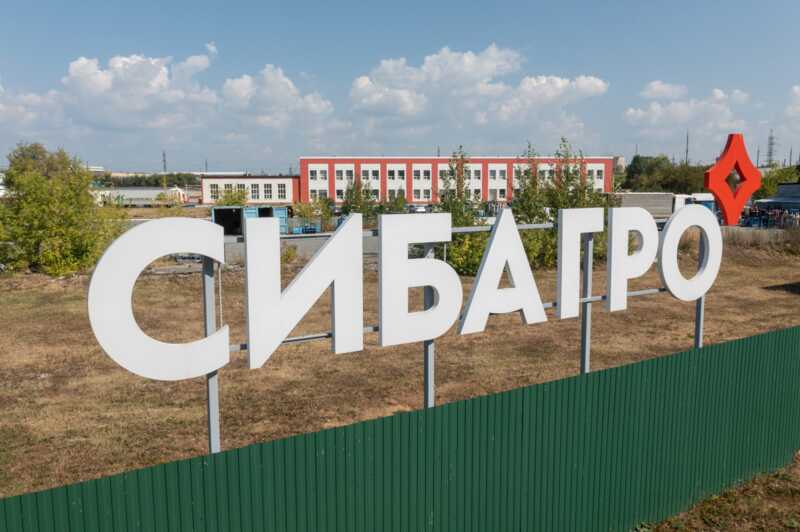 Омерзительная ёлочка компании «Сибагро»