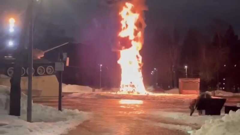 В сквере Марии Рубцовой в Химках сгорела новогодняя елка