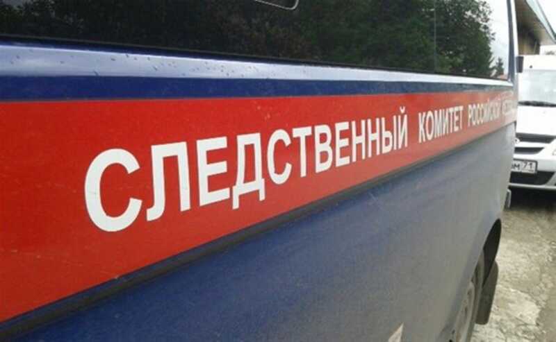 Труп пропавшей пенсионерки с пробитой головой обнаружен в Тульской области