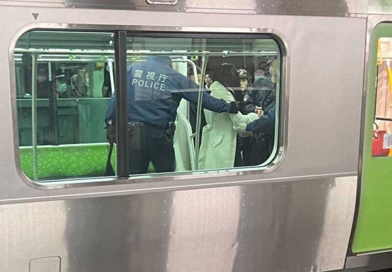 В Токио неизвестная девушка напала на пассажиров в вагоне поезда