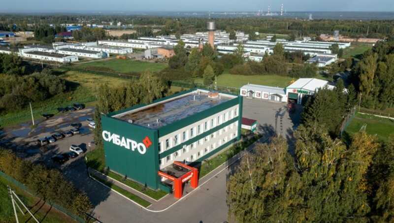 Хороший вкус «Сибагро» с нехорошим привкусом тютюшевских свиней
