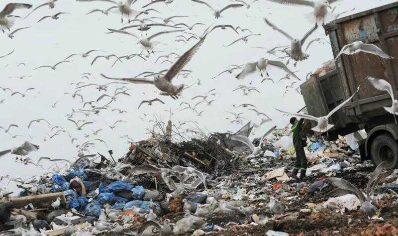 Дайджест свалок: одни ликвидируют, на другие закрывают глаза