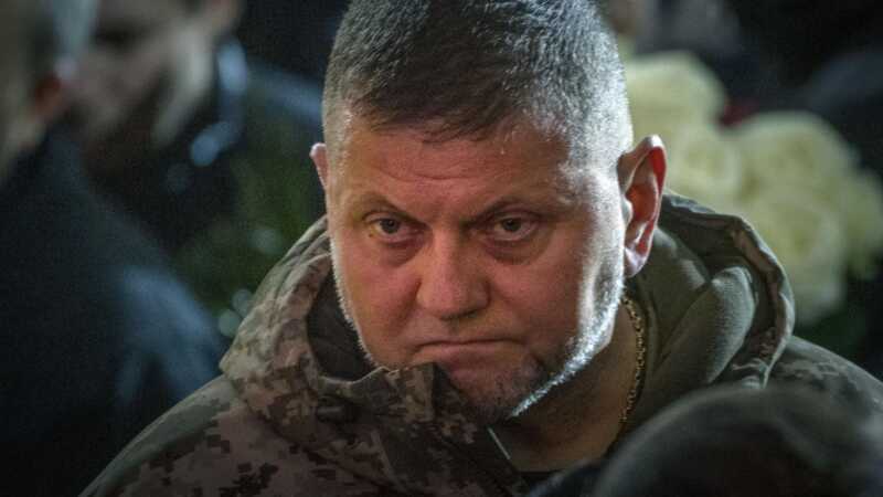 В Украине подтвердили отставку Залужного