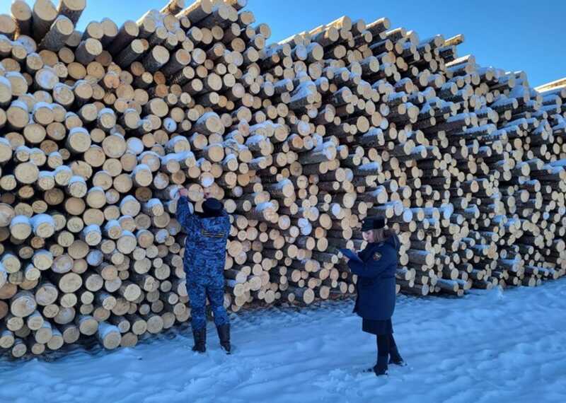 На севере Томской области за долг в 164 миллиона арестовано имущество лесозаготовителя