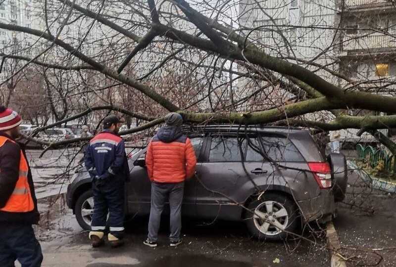 Из-за сильного ветра в Москве и Подмосковье деревья обрушаются на припаркованные автомобили