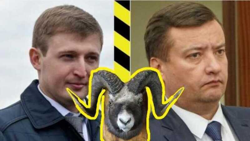 За дерматит скота в Прибайкалье ответит козел отпущения