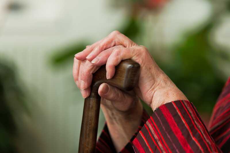 В Елецкий университет фиктивно зачислили 72-летнюю пенсионерку