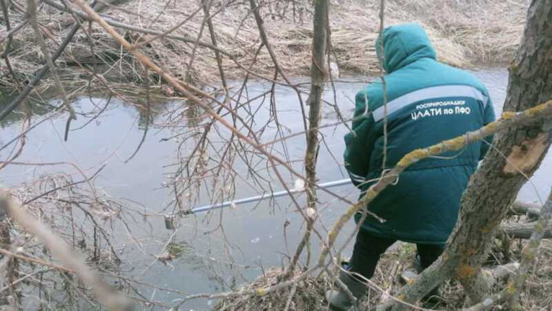 Нижегородцы пожаловались на массовую гибель рыбы из-за работы местного спиртзавода
