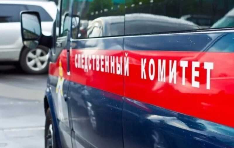 Глава СКР заинтересовался смертью 13-летнего школьника в Новосибирской области