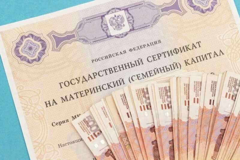 ЛДПР предложила изменить правила использования маткапитала в Госдуме