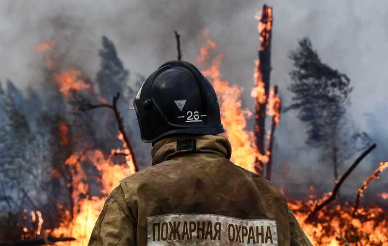 Более 400 человек эвакуируют в Японии из-за опасности распространения лесных пожаров
