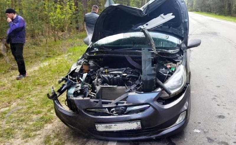 В Брянской области на машину с ребенком рухнуло дерево