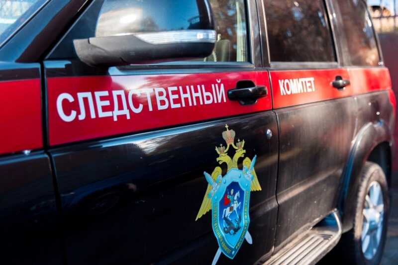 В Ленобласти полуторагодовалая девочка захлебнулась в канаве